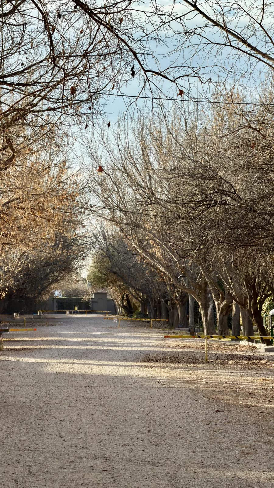 Lote 800 m² en Portal de la Cordillera — Chacras de Coria — foto 1