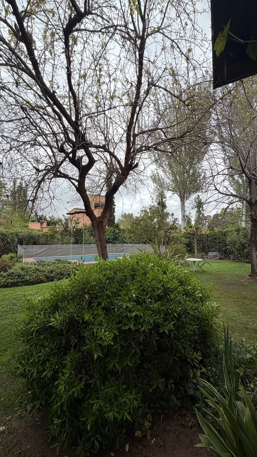 Casa 2 dorm. + 1 estudio - Chacras de Coria, jardín parquizado y pileta — foto 17